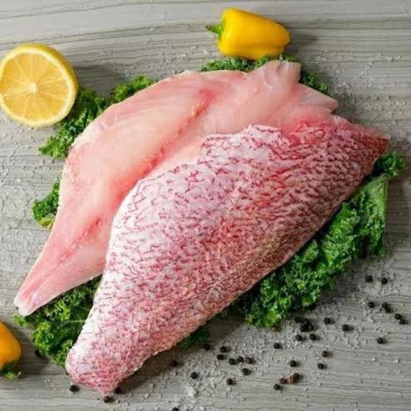 Ikan Kakap Merah Fillet